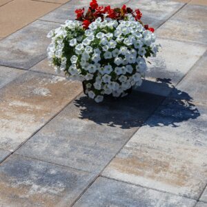 61828734 Semmelrock Elegant ploča 60x30x3,8cm Lava siva